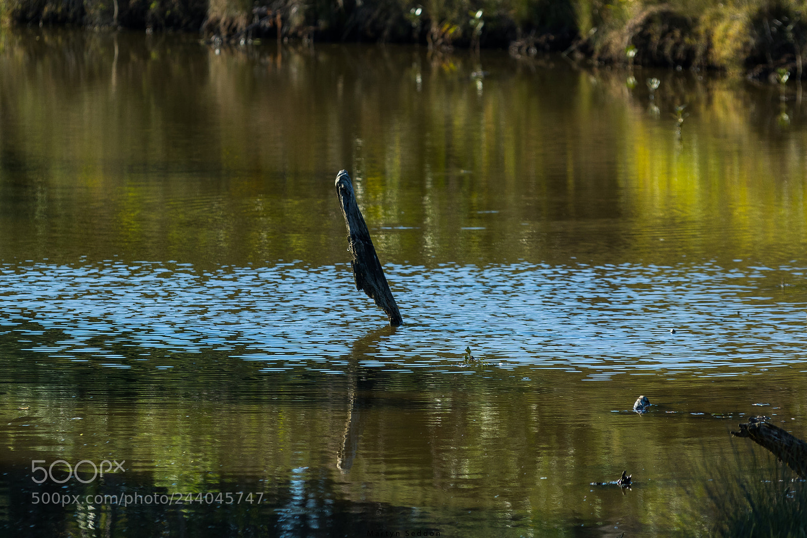 Canon EOS 7D Mark II sample photo. Long bay photography