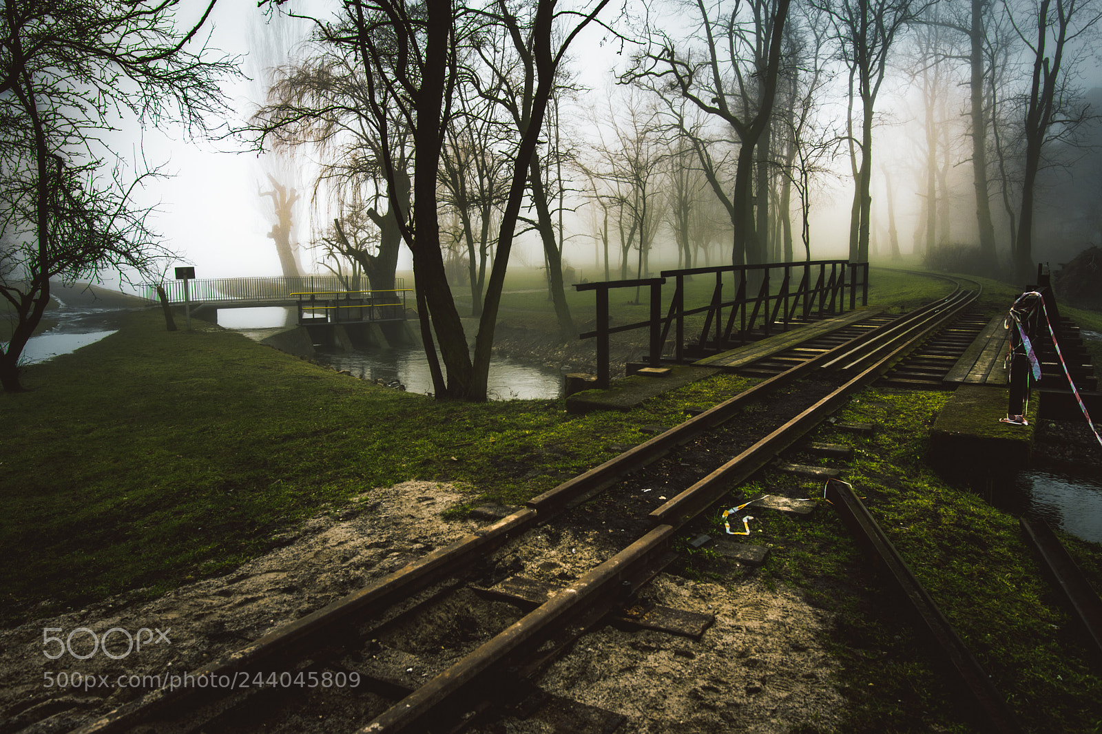 Nikon D5500 sample photo. Old rail bridge photography