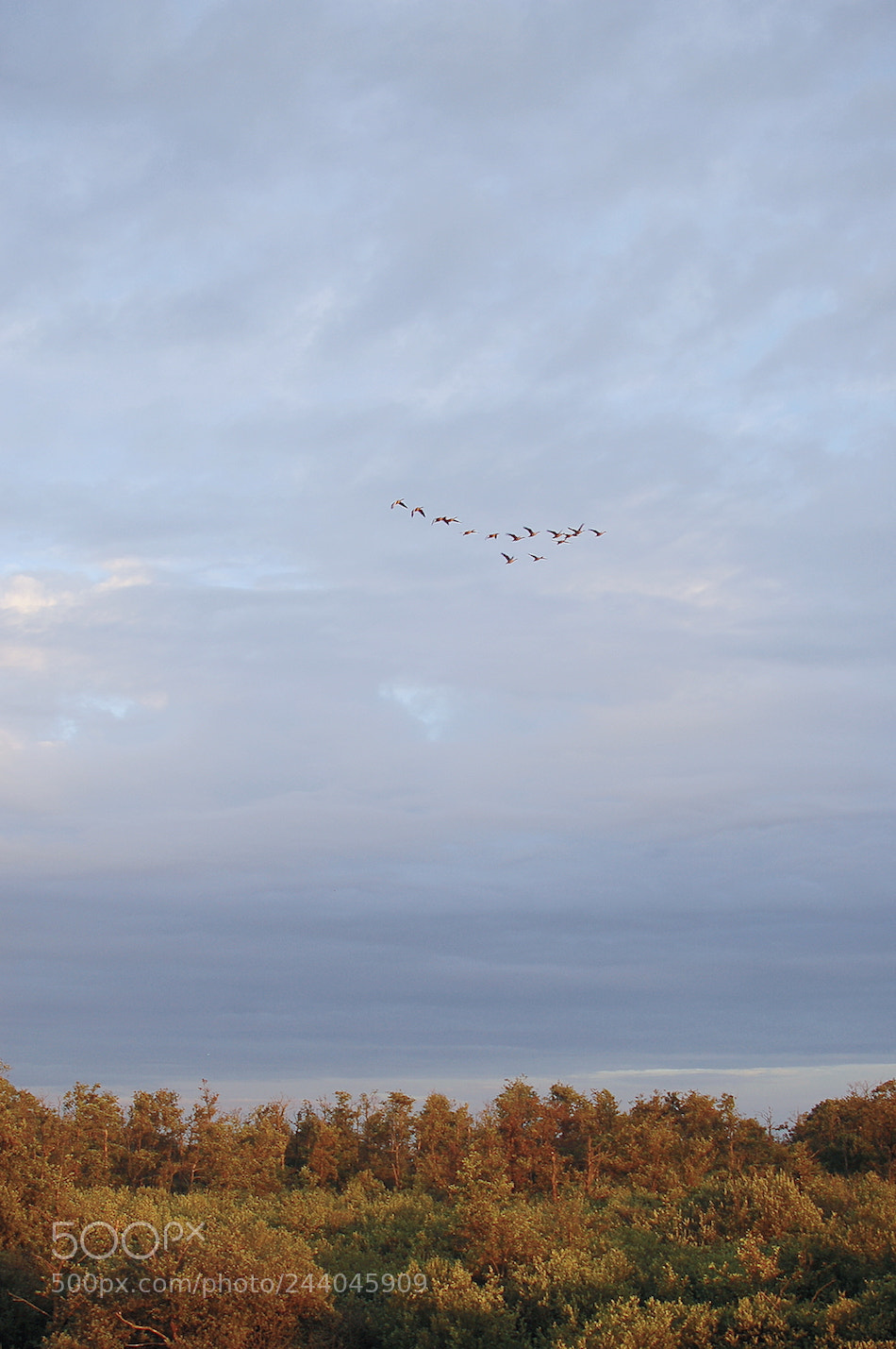Nikon D50 sample photo. Moerputten photography
