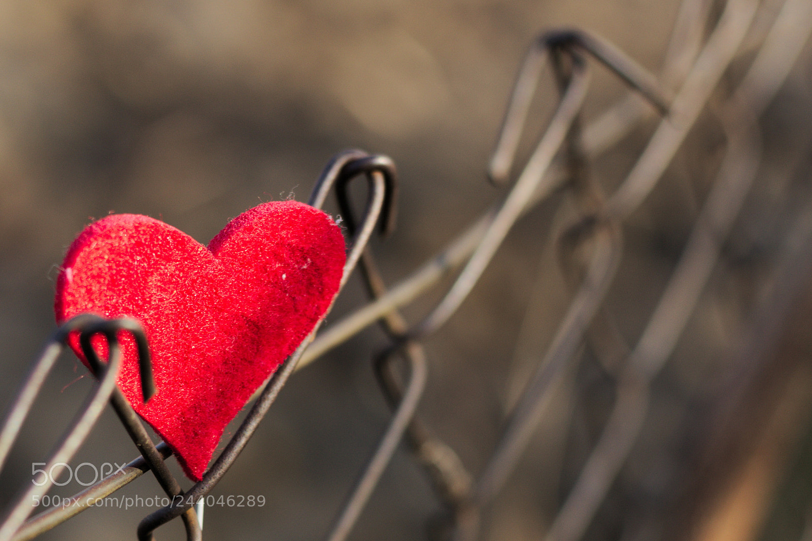 Canon EOS 700D (EOS Rebel T5i / EOS Kiss X7i) + Canon EF 50mm F1.8 STM sample photo. Shackled love photography