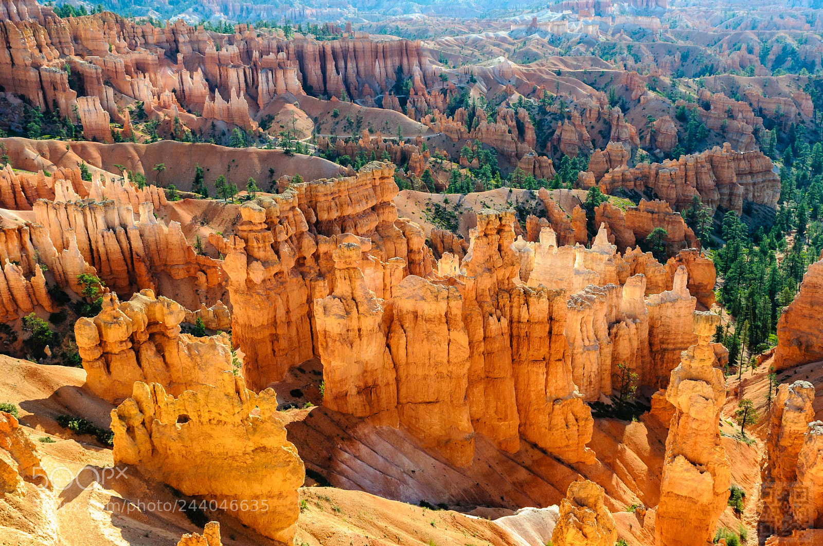 Nikon D300S sample photo. Bryce national park photography