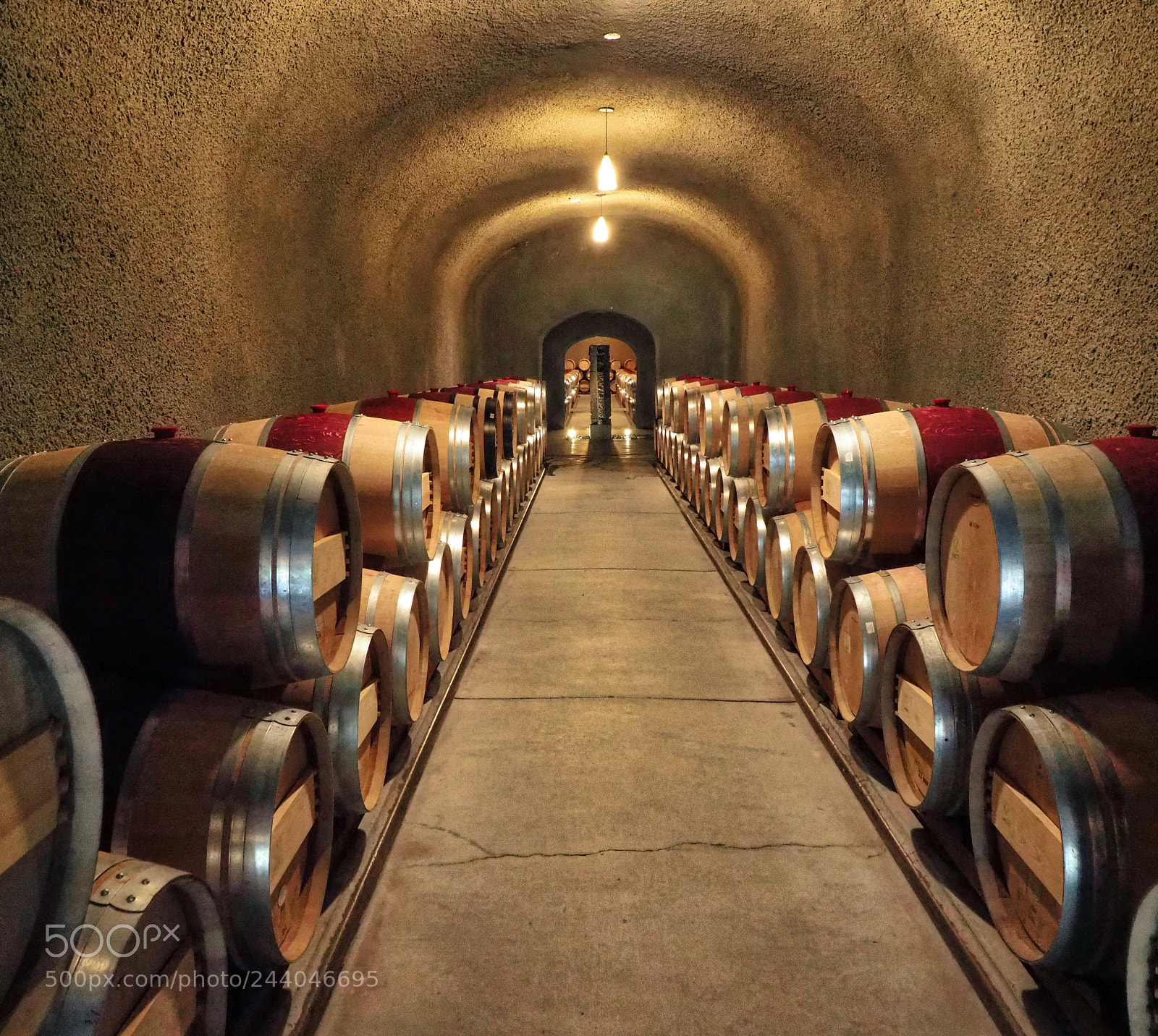 Olympus OM-D E-M1 Mark II sample photo. Lisa laporte:  napa 2018 photography