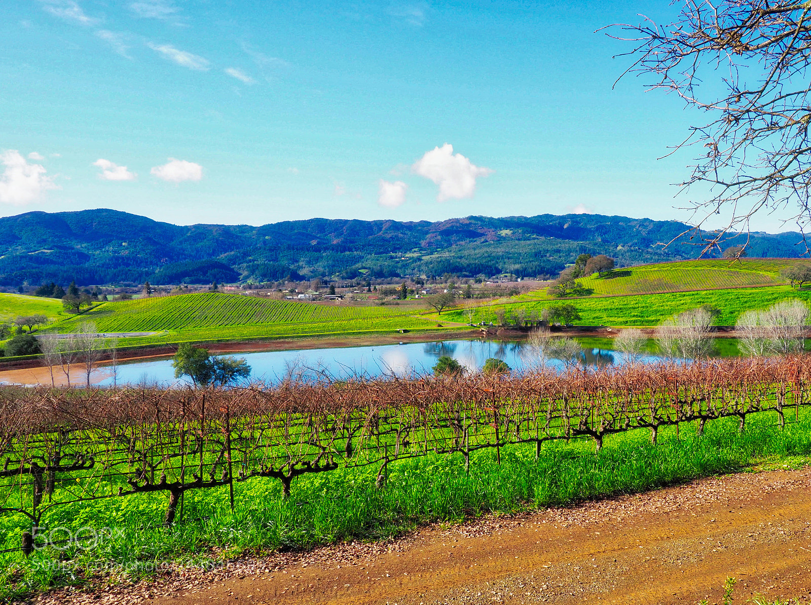 Olympus OM-D E-M1 Mark II sample photo. Lisa laporte:  napa 2018 photography