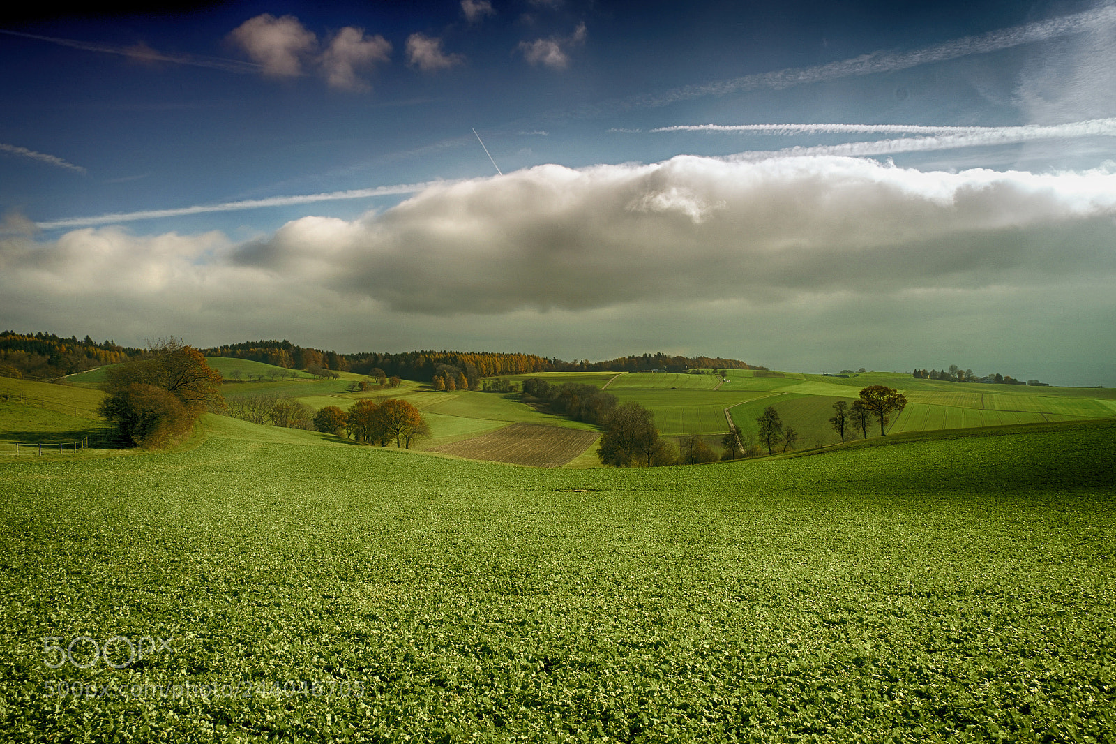 Fujifilm X-Pro1 sample photo. #vaud#switzerland photography