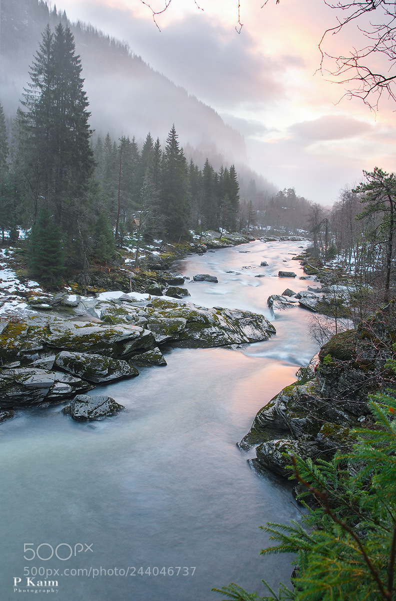 Nikon D60 sample photo. Foggy morning photography