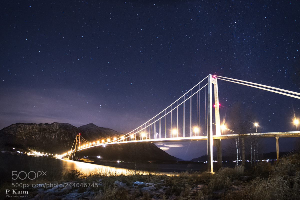 Nikon D5500 sample photo. Bridge photography