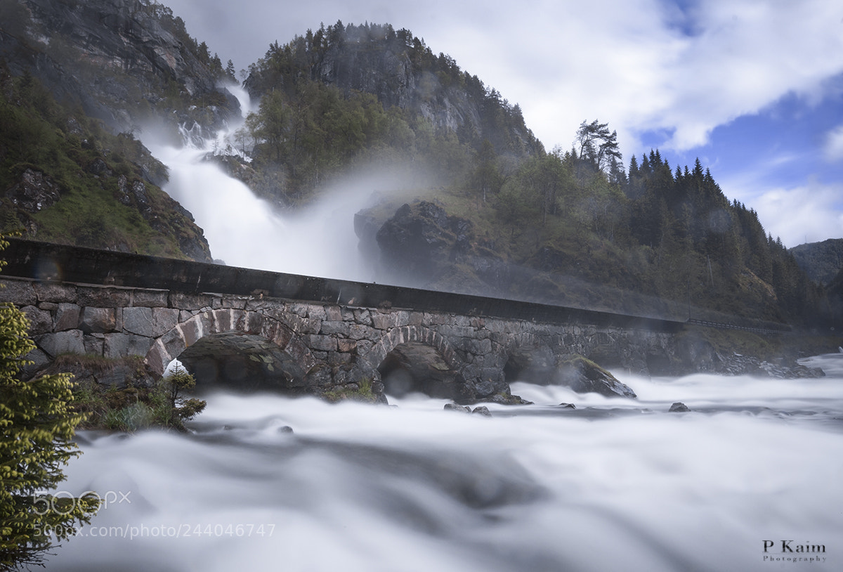 Nikon D60 sample photo. Latefoss photography
