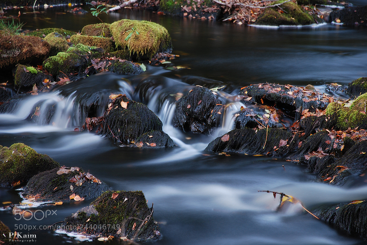 Nikon D60 sample photo. River photography