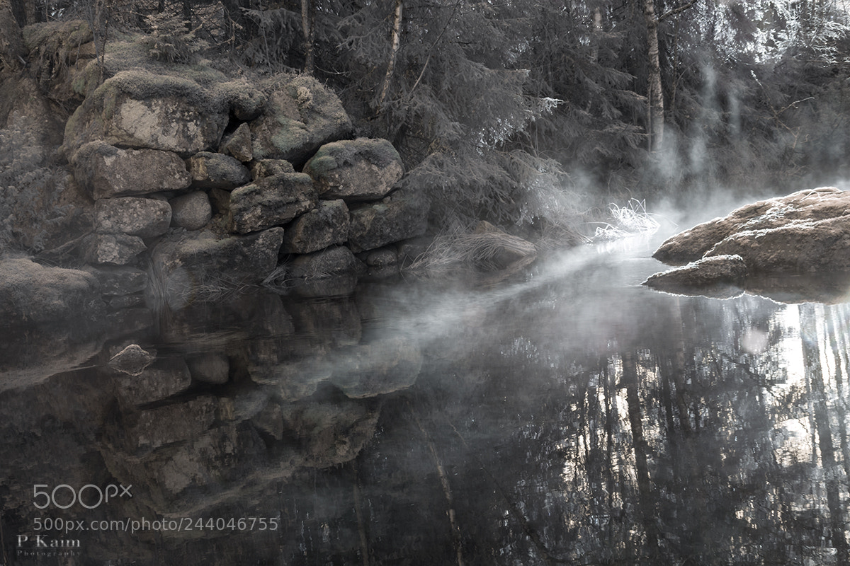 Nikon D60 sample photo. Cold morning photography