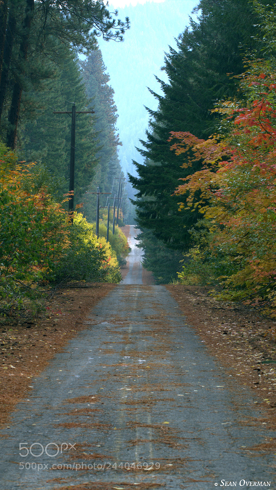 Canon EOS 550D (EOS Rebel T2i / EOS Kiss X4) sample photo. Lost highway photography