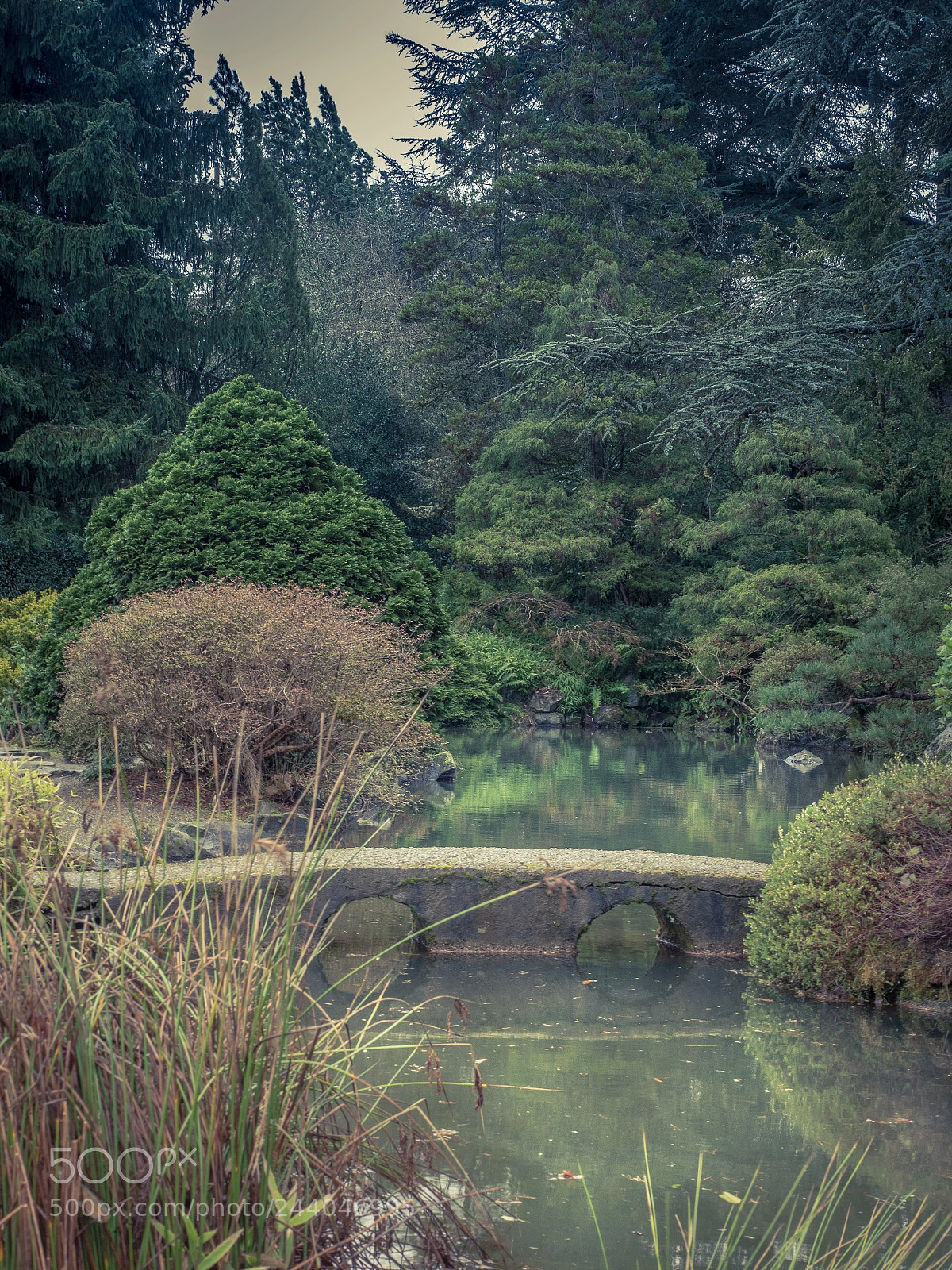 Panasonic Lumix DMC-GX8 sample photo. Kubota garden pond photography