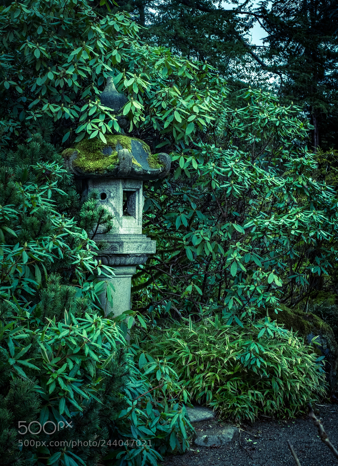 Panasonic Lumix DMC-GX8 sample photo. Kubota garden shrine photography