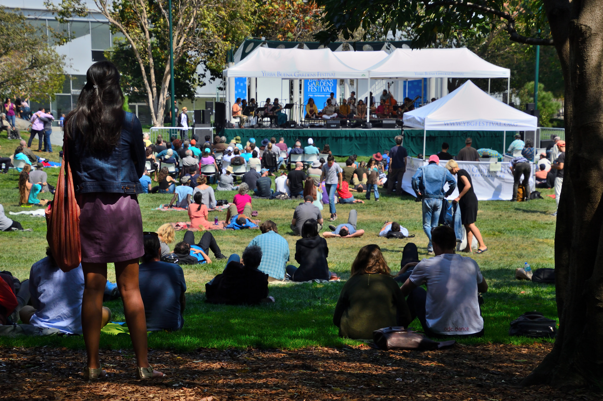 Nikon D3200 sample photo. Outdoor concert photography