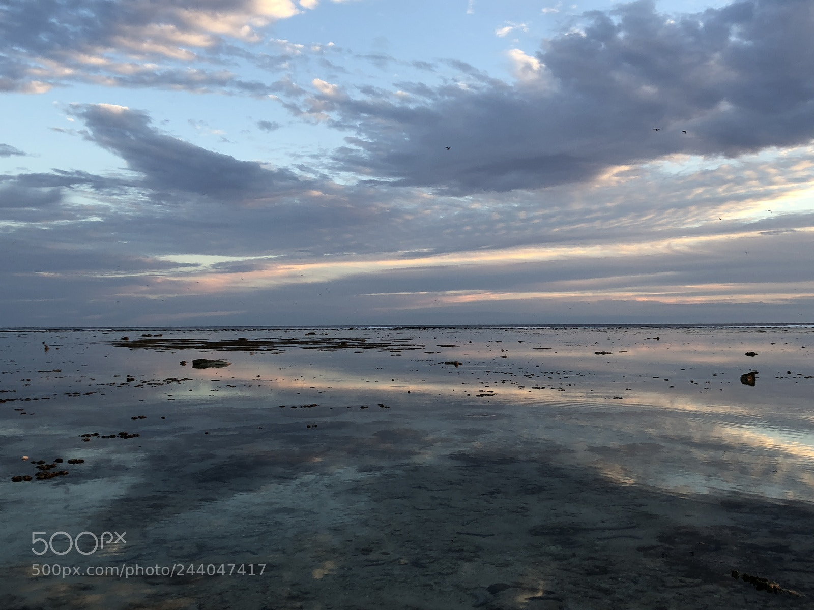 Apple iPhone 8 sample photo. Sky reflections at lady photography
