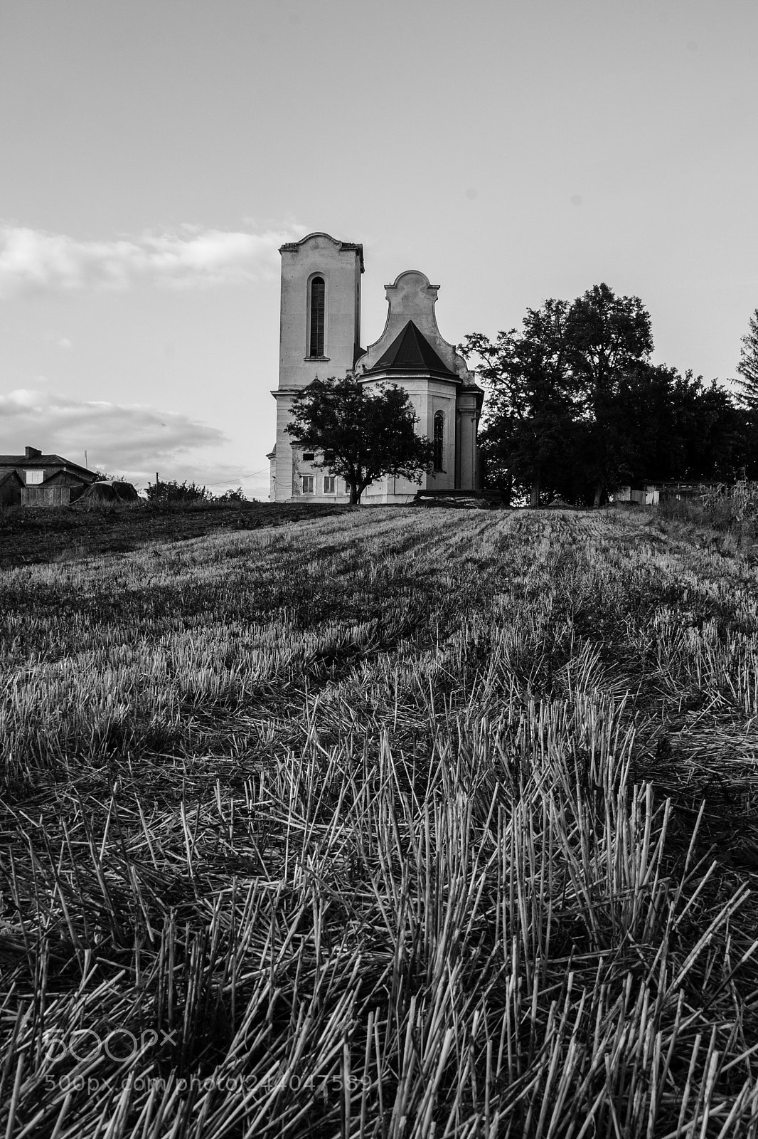 Canon EOS 1000D (EOS Digital Rebel XS / EOS Kiss F) sample photo. Img photography