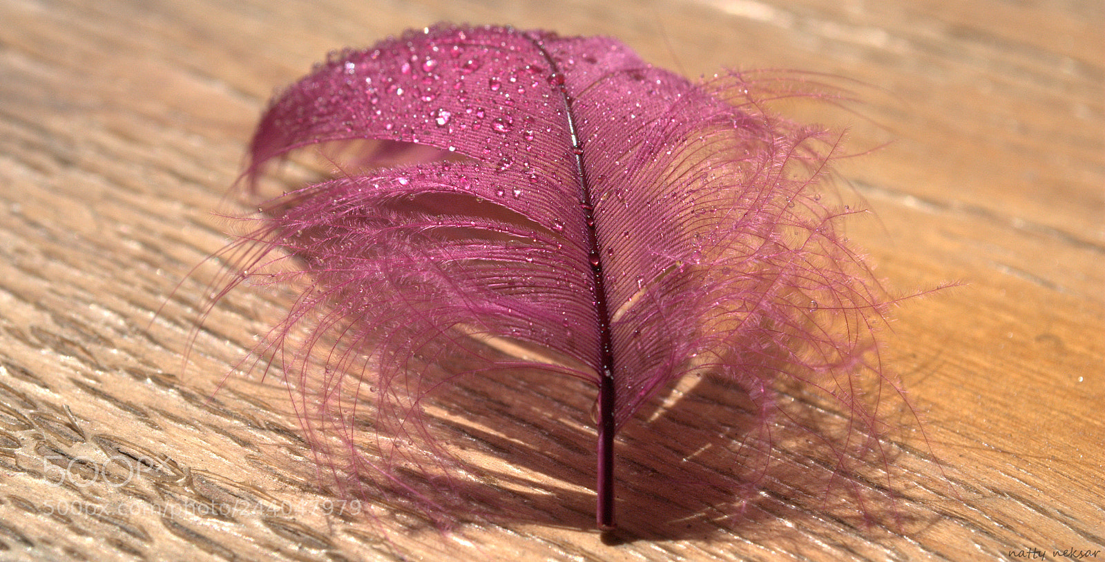 Nikon D60 sample photo. Lightness...#8 photography