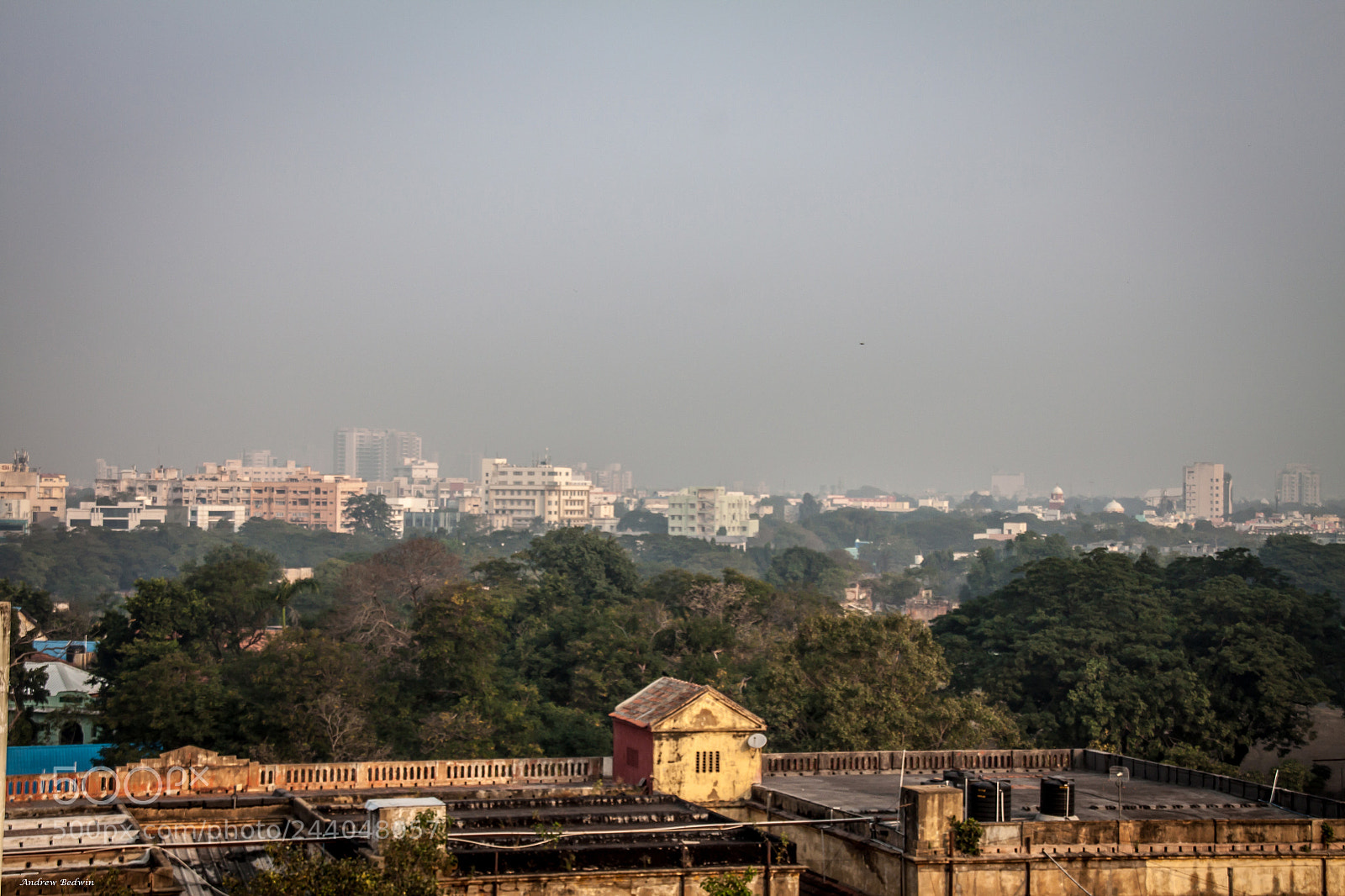 Canon EOS 500D (EOS Rebel T1i / EOS Kiss X3) sample photo. Another rooftop view photography