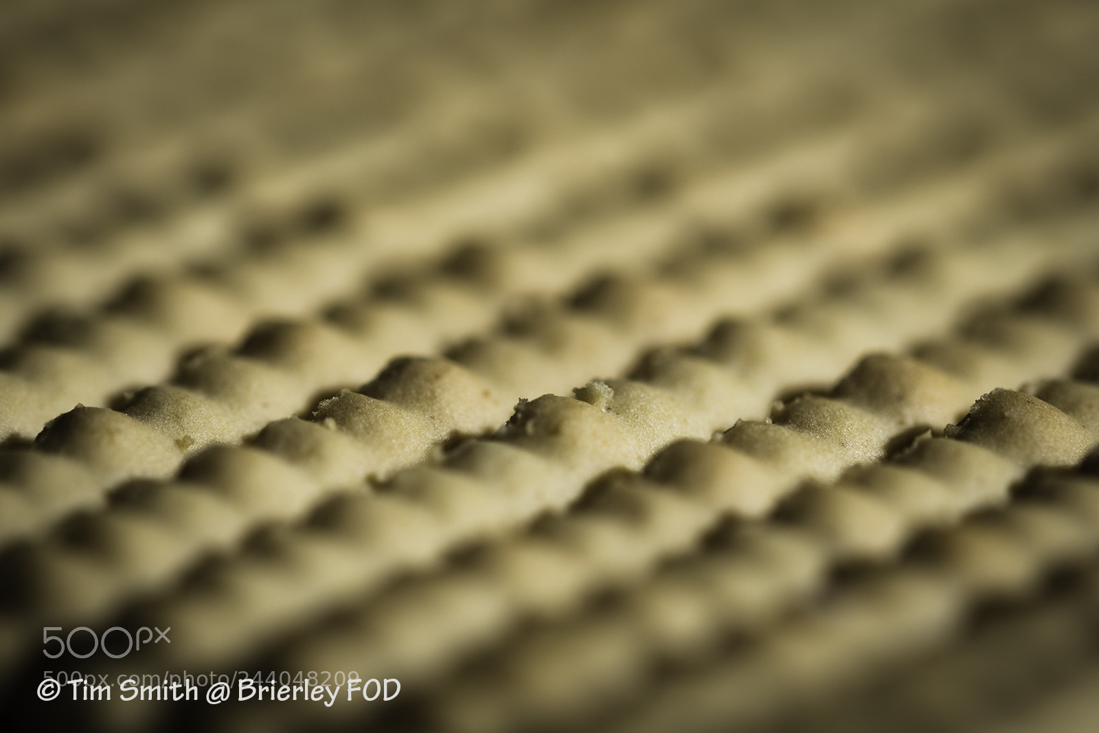 Nikon D500 sample photo. Indoor abstract # 2 photography
