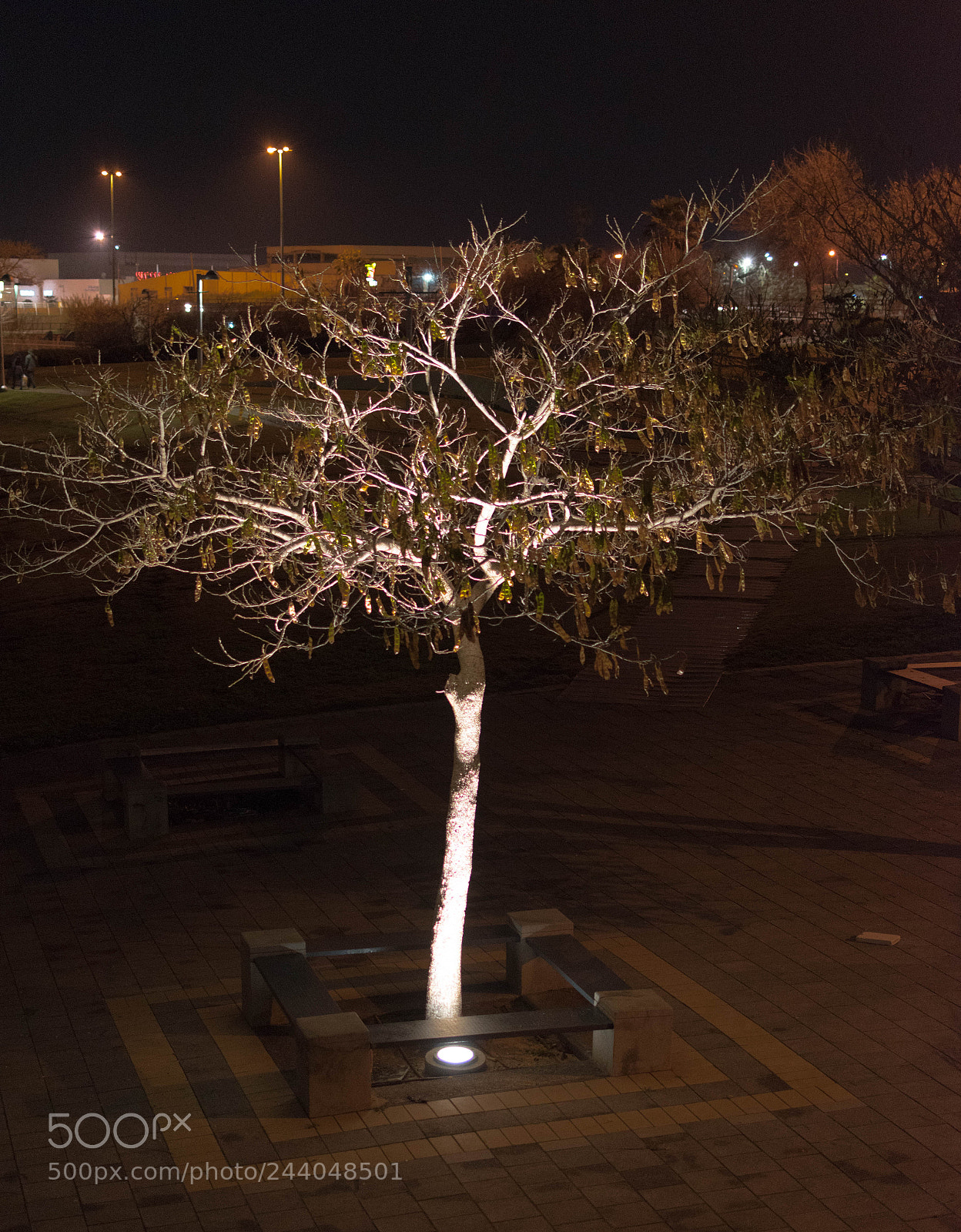 Nikon D5600 sample photo. Dsc photography