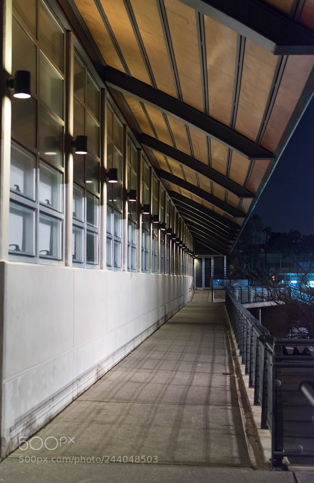 Nikon D5600 sample photo. Dsc photography