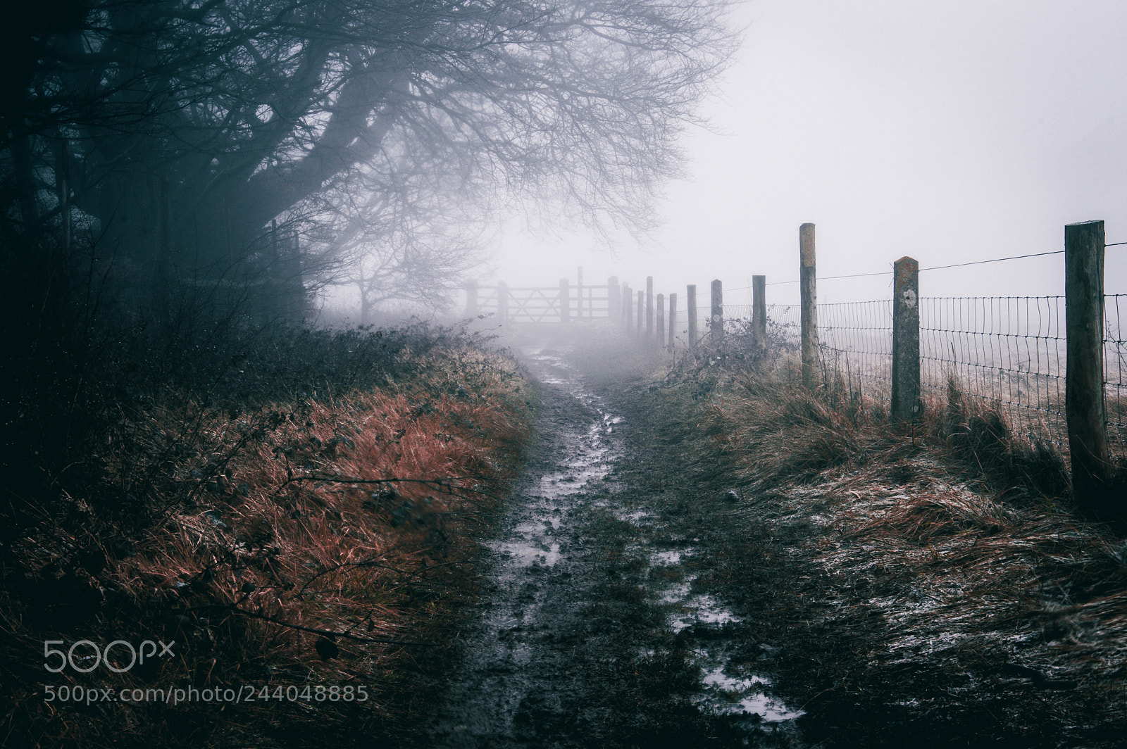 Nikon D3200 sample photo. Winters gate photography