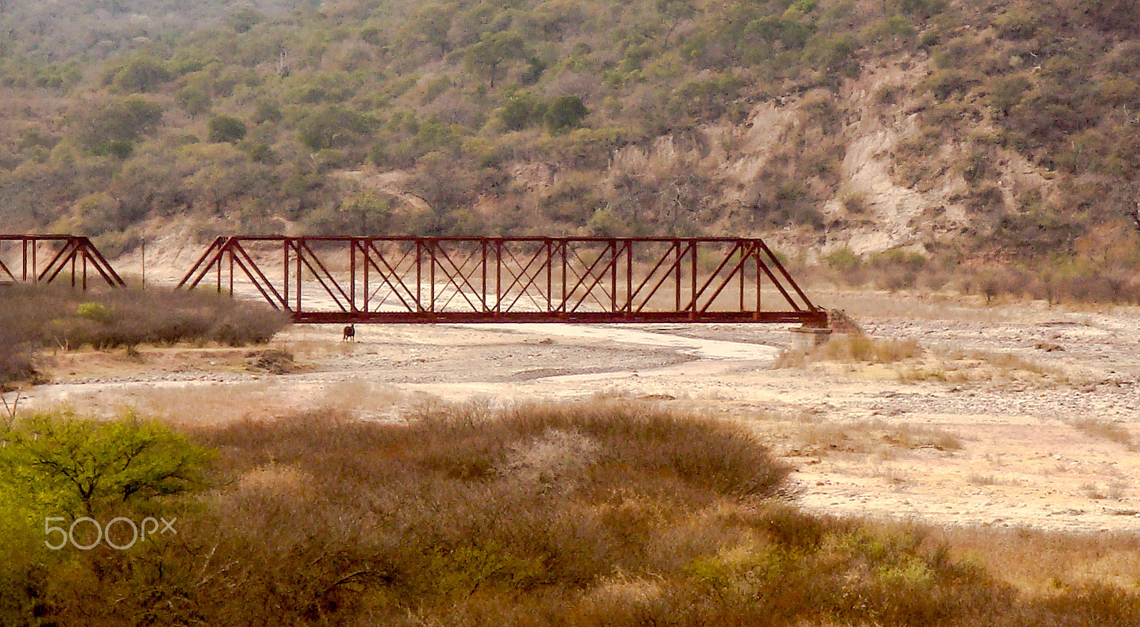 Sony DSC-T70 sample photo. Puente a ninguna parte / bridge to nowhere photography