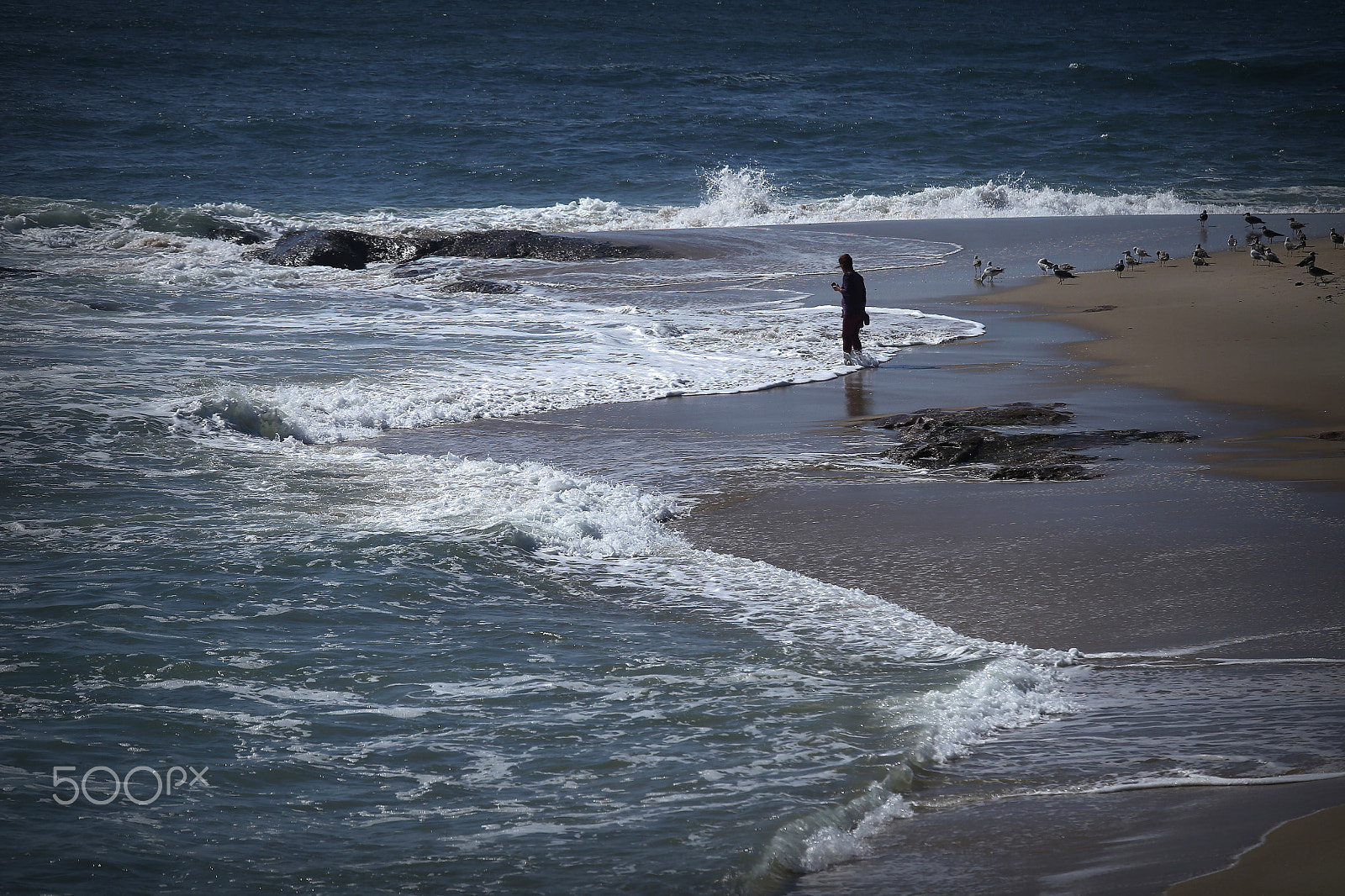 Canon EF 70-200mm F4L IS USM sample photo. His sea photography