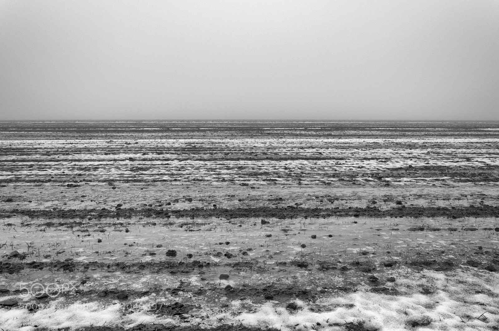 Nikon D90 sample photo. Lines in the fog photography