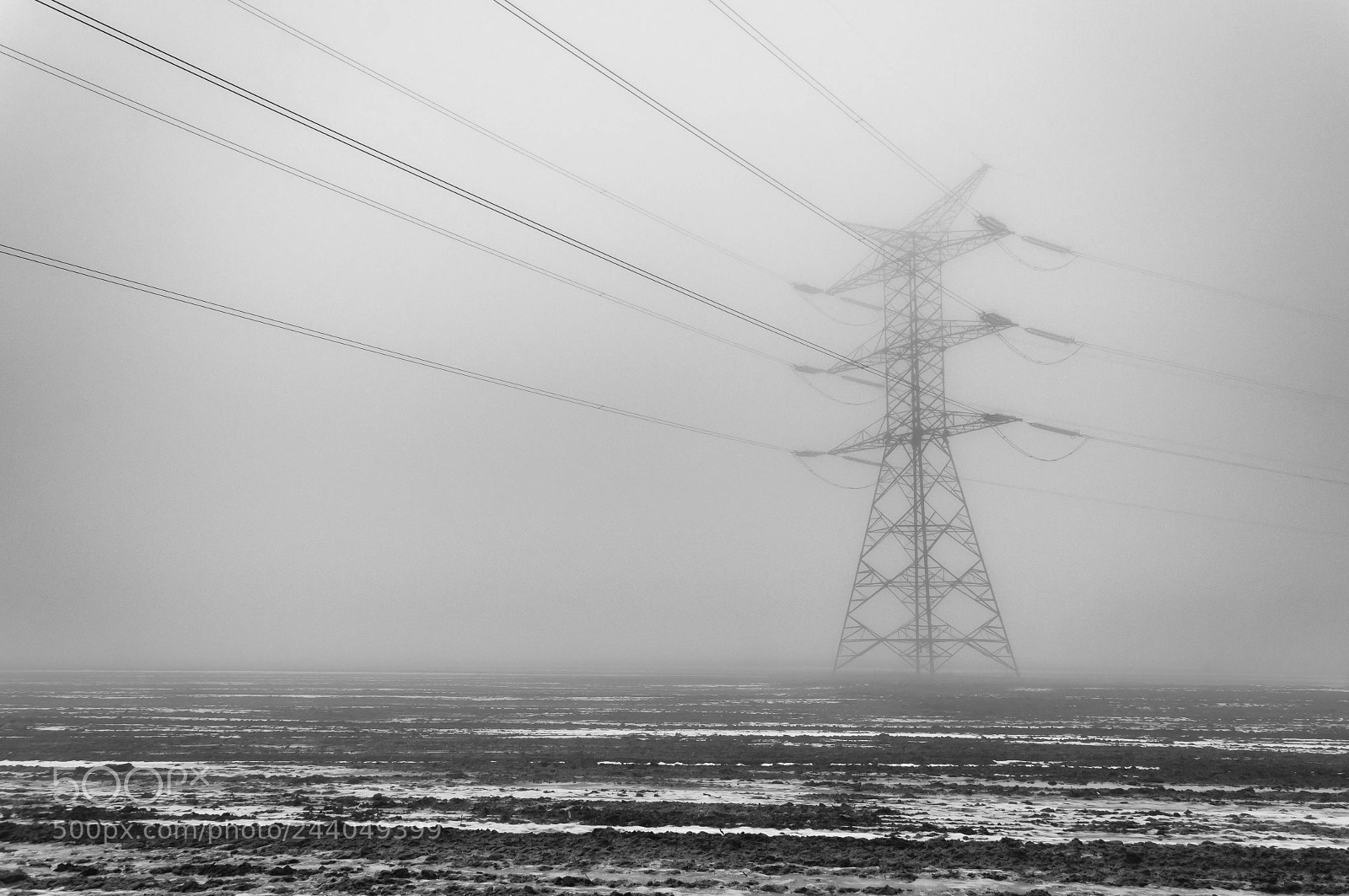 Nikon D90 sample photo. Electrifying fog photography