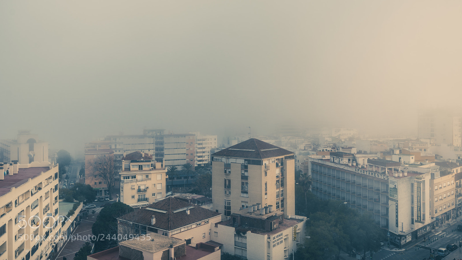 Nikon D810 sample photo. Foggy evening photography