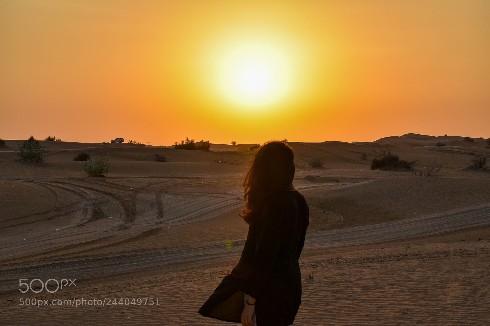 Nikon D5500 sample photo. Stare into sun photography