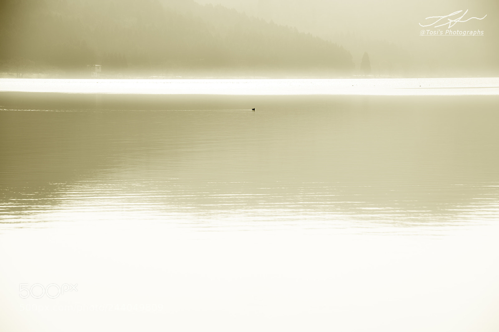 Nikon D850 sample photo. Lake of illusion 余呉湖 photography