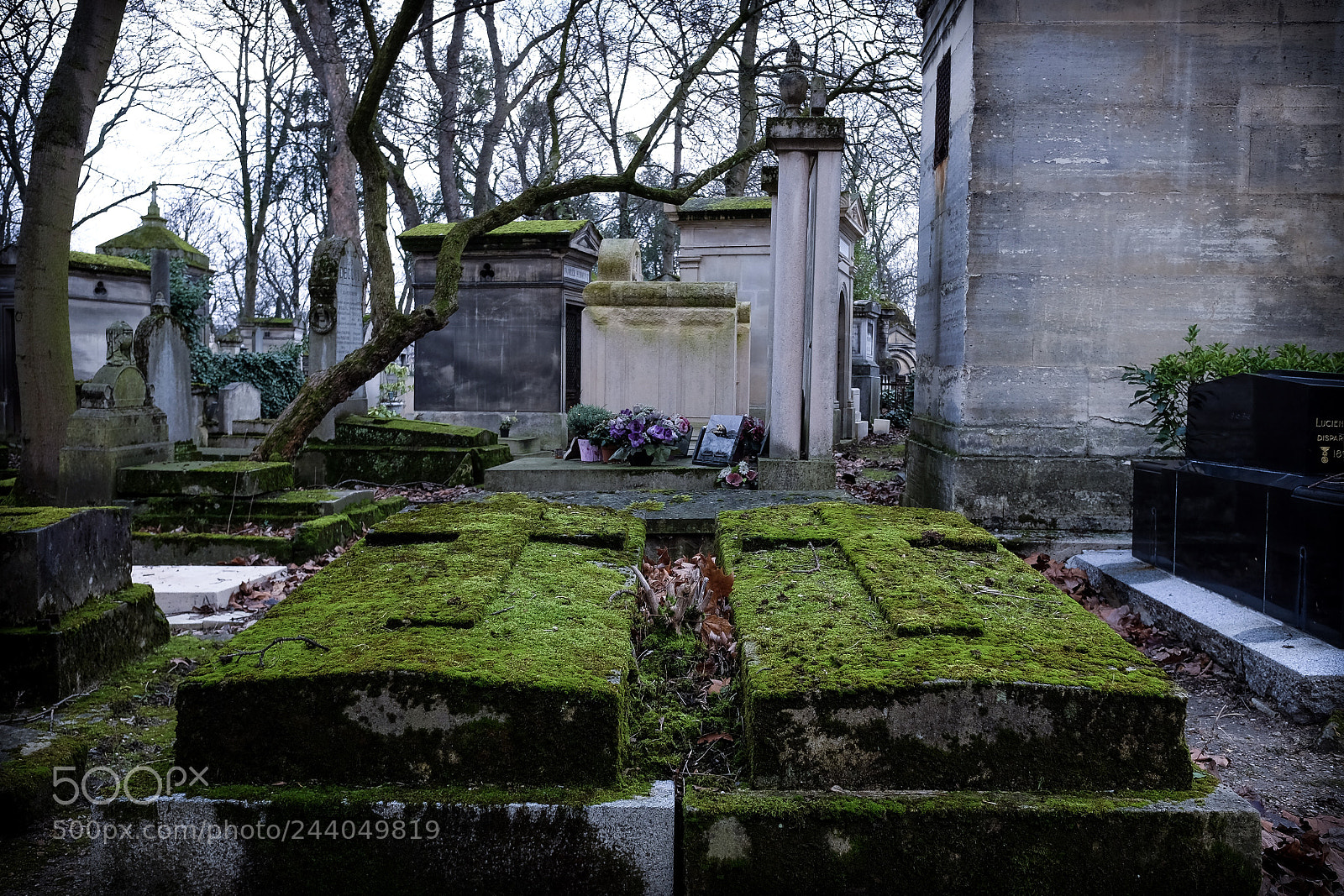 Fujifilm X70 sample photo. Grave photography