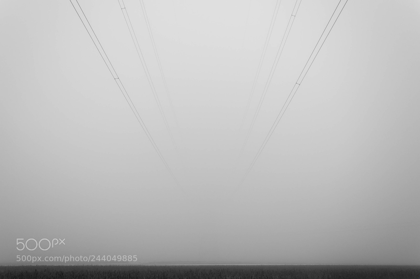 Nikon D90 sample photo. Vanishing lines photography