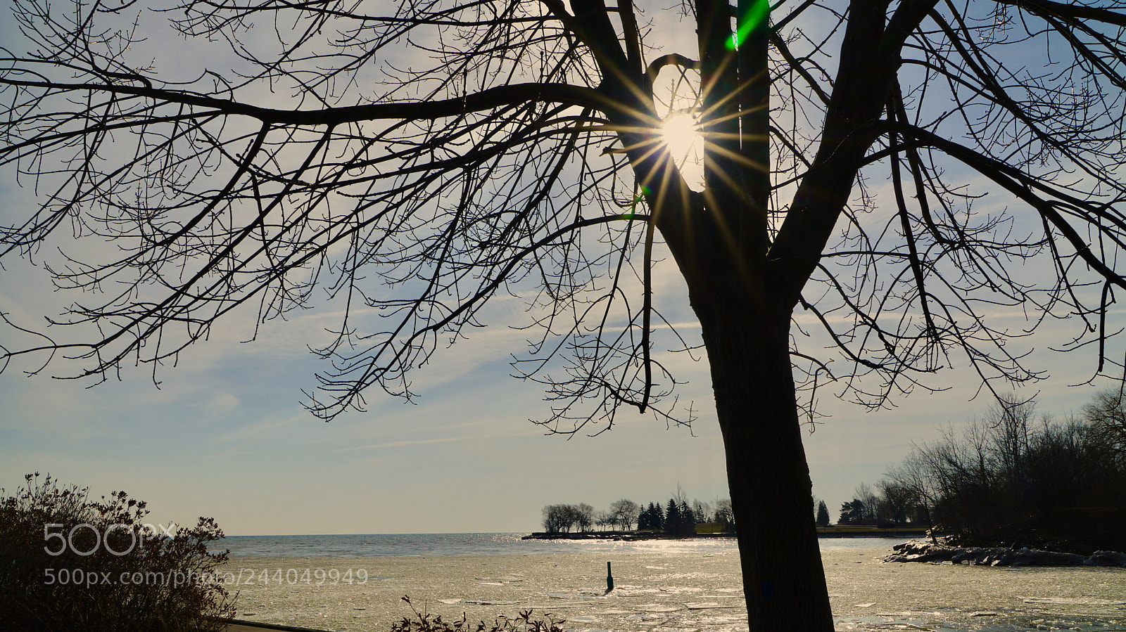 Sony a7R II sample photo. Afternoon sunshine of ontario photography