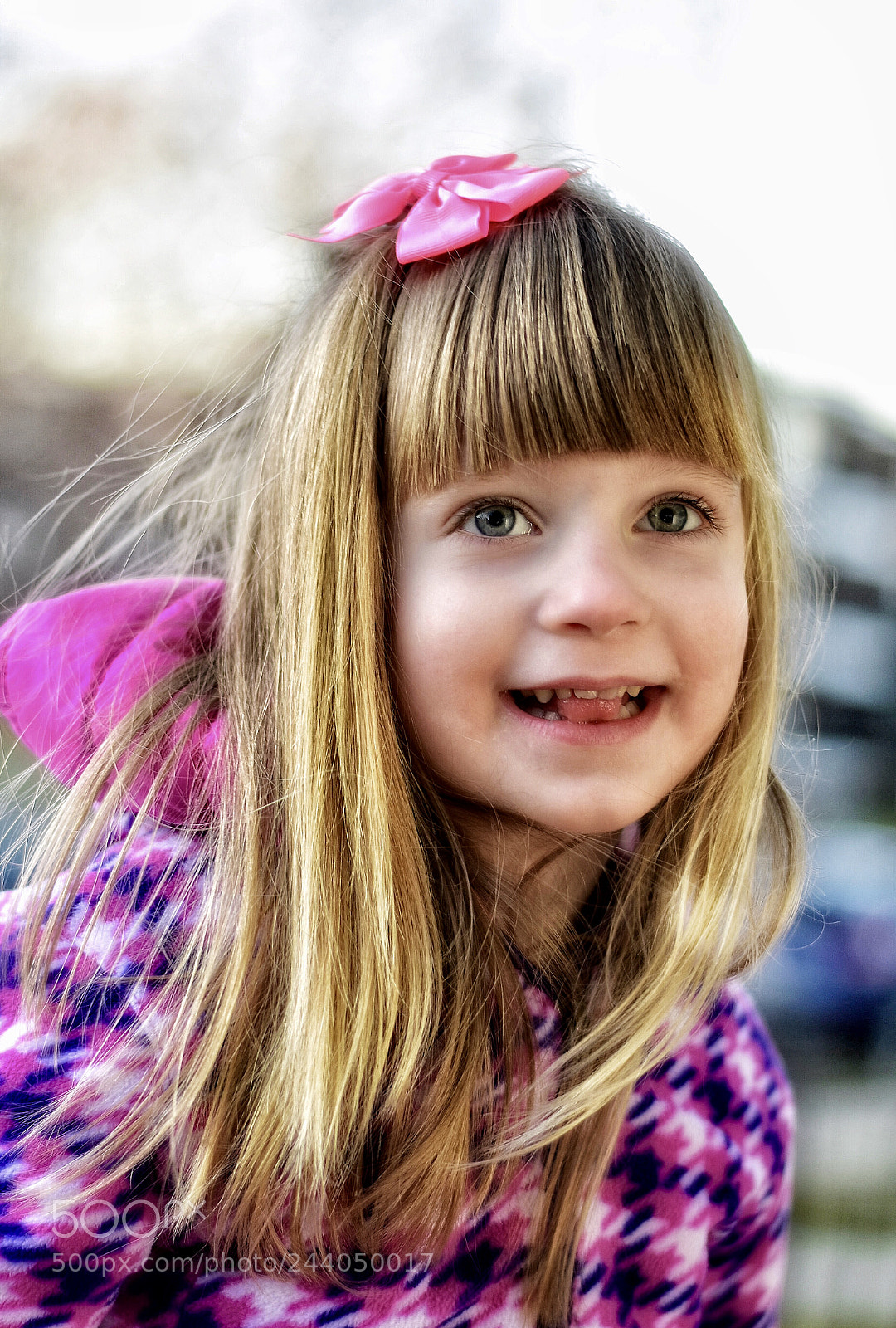 Nikon D5600 sample photo. Outdoors in january photography
