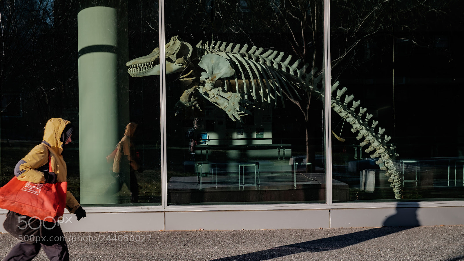Fujifilm X-T10 sample photo. Where am i? photography