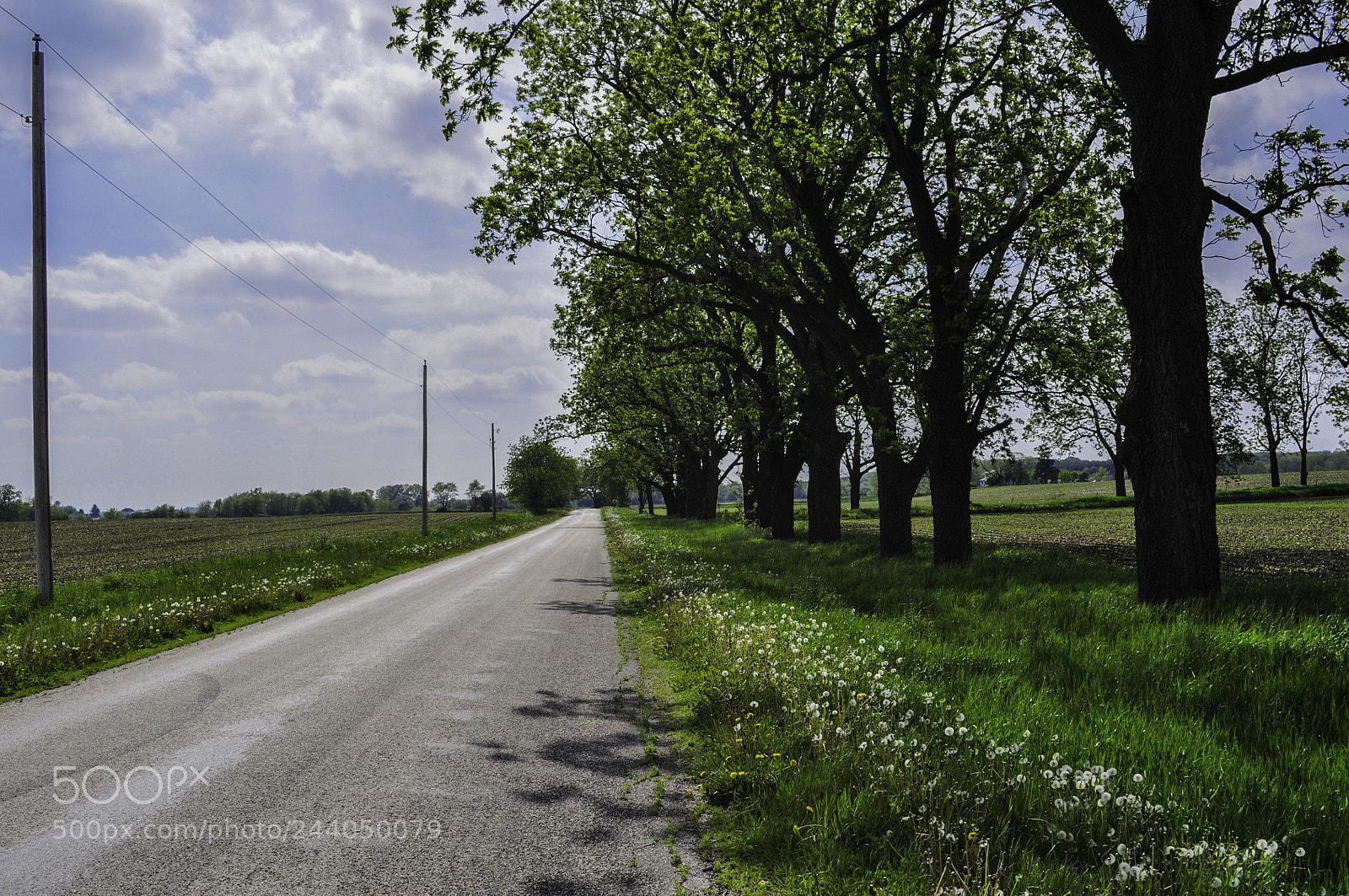 Nikon D5000 sample photo. Country road photography
