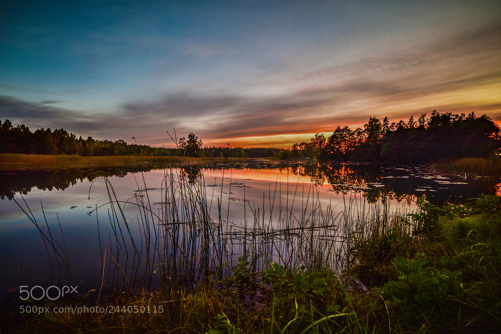 Nikon D810 sample photo. Trösken sng nikon photography