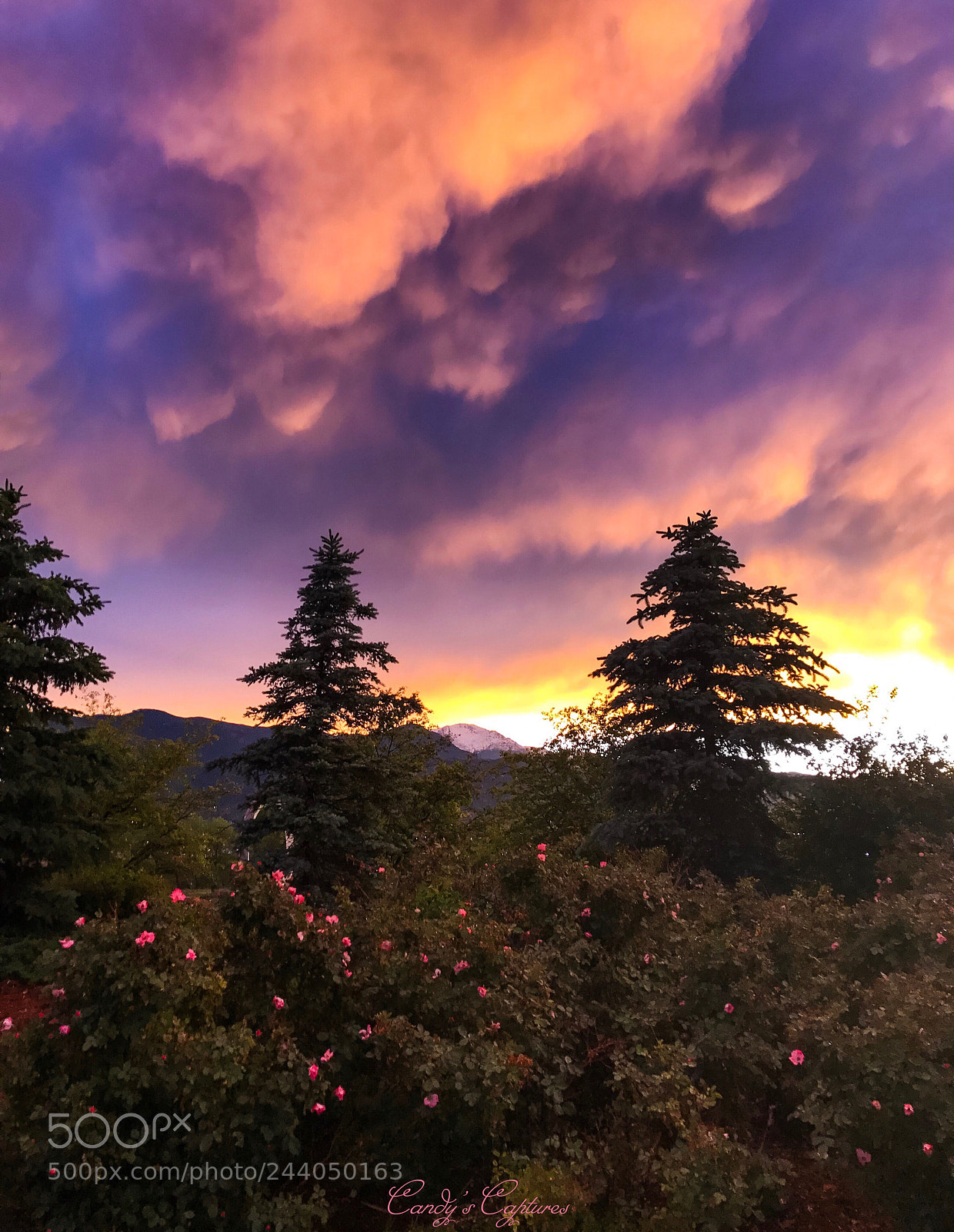 Apple iPhone 7 Plus sample photo. Post storm sunset at photography