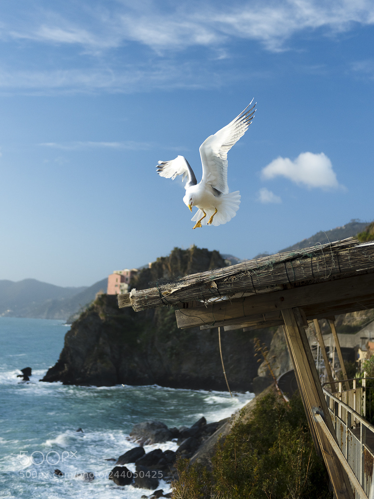 Nikon D810 sample photo. Manarola photography