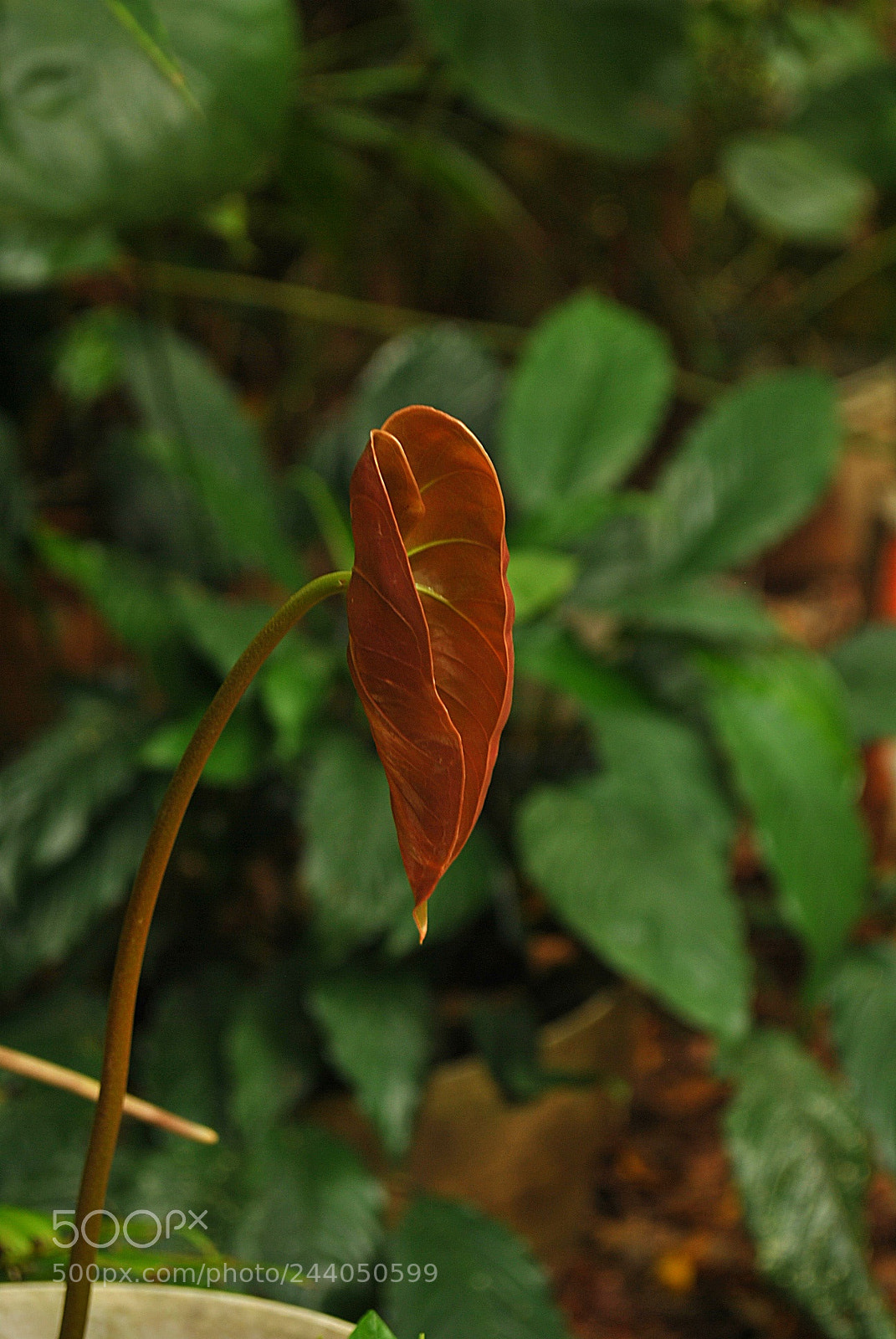 Nikon D3000 sample photo. Untitled photography