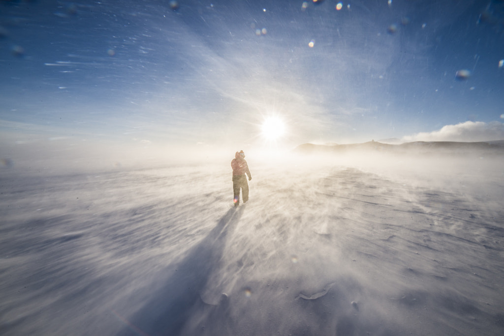 A Windy Day in Antarctica, автор — Alasdair Turner на 500px.com