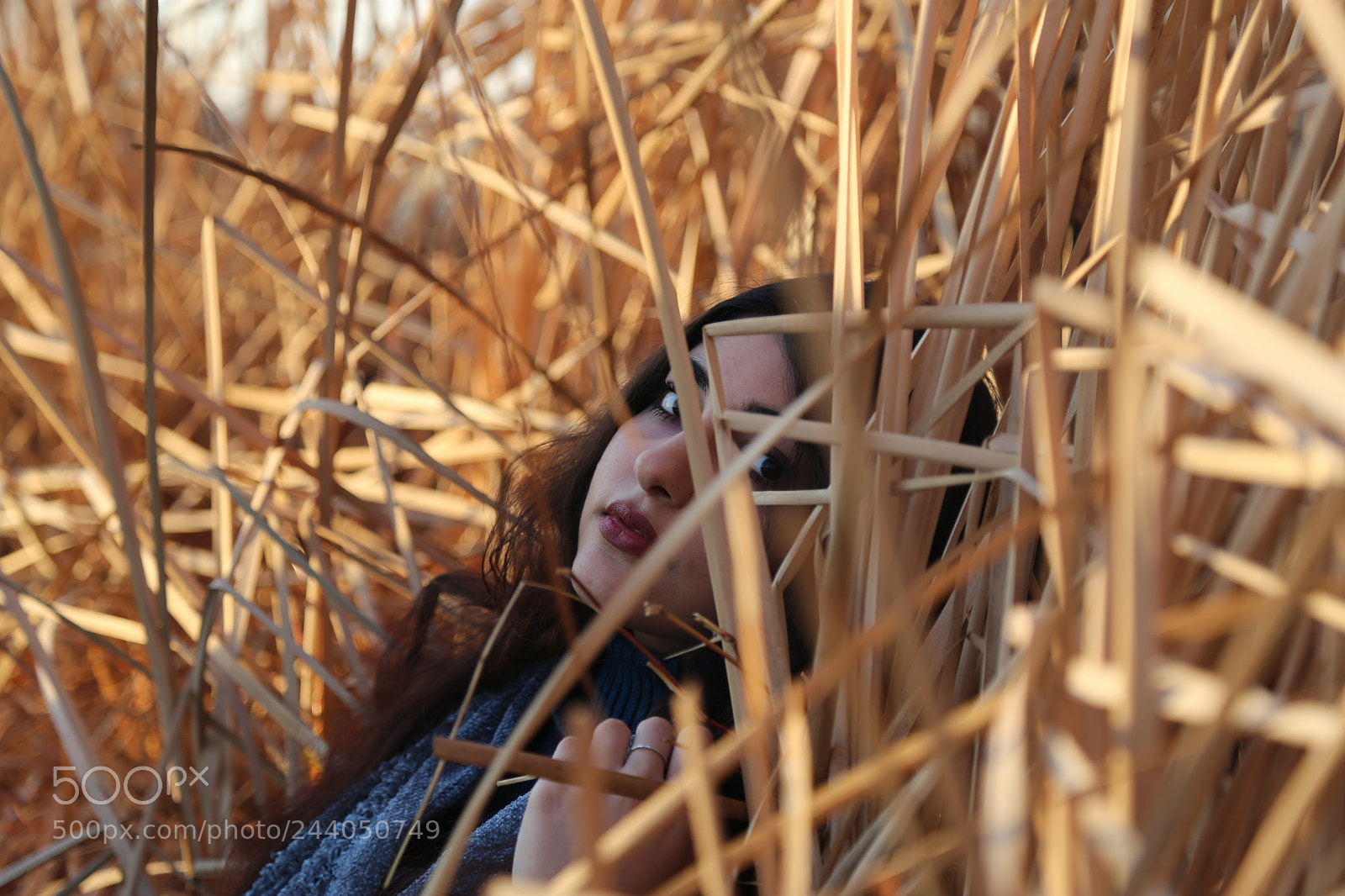 Canon EOS 6D + Canon EF 24-105mm F4L IS USM sample photo. Img photography