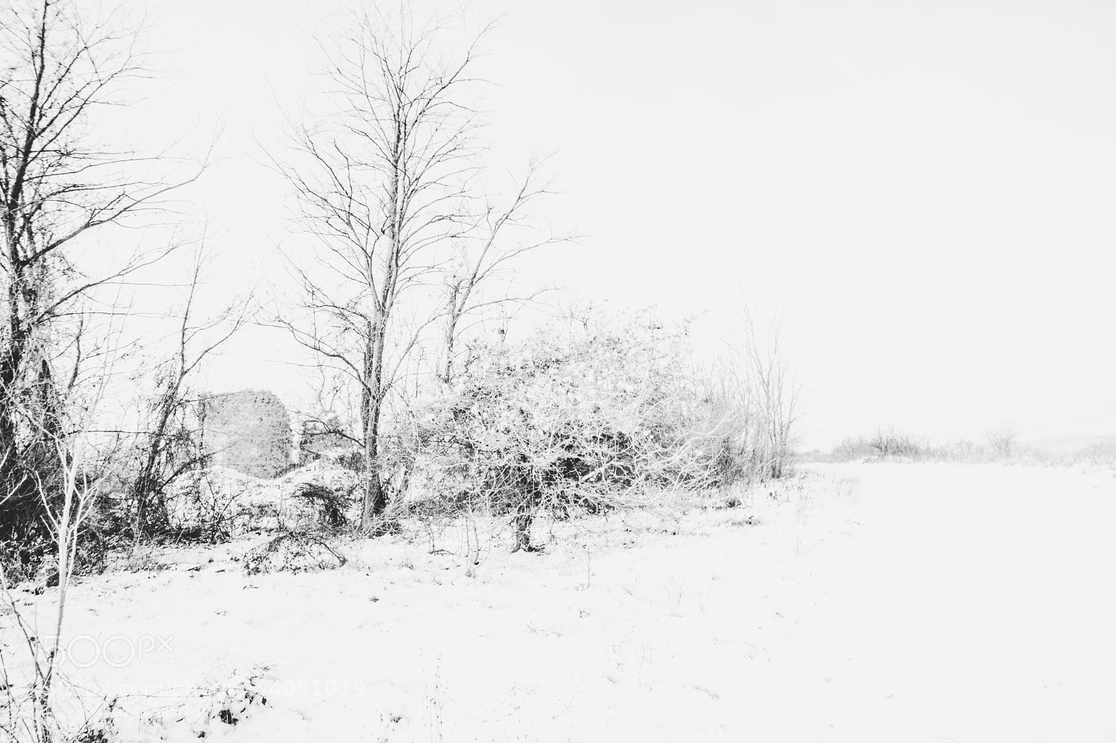 Sony a7 sample photo. Sz photography