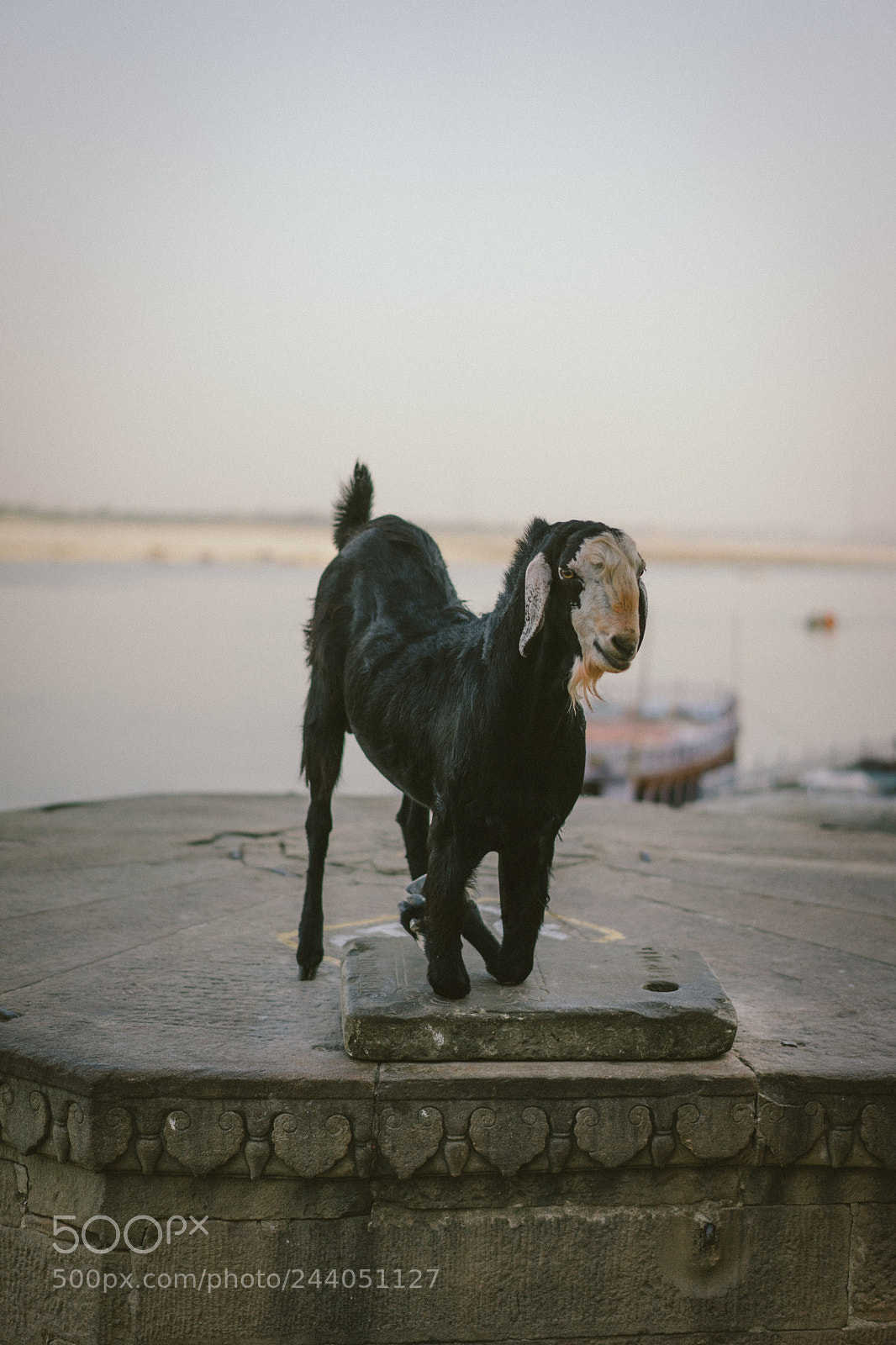 Sony a7 II sample photo. Varanassi photography