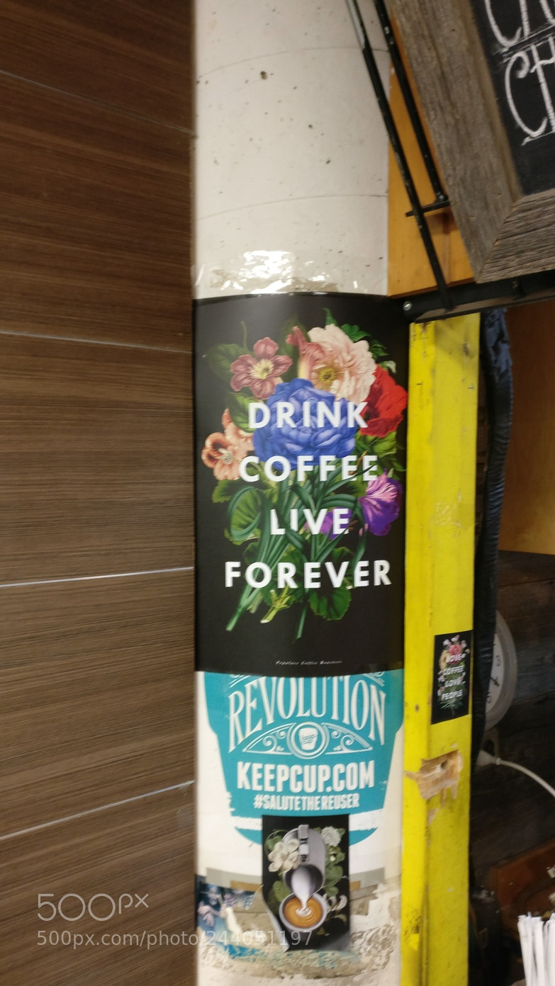 OnePlus A3003 sample photo. Re photography