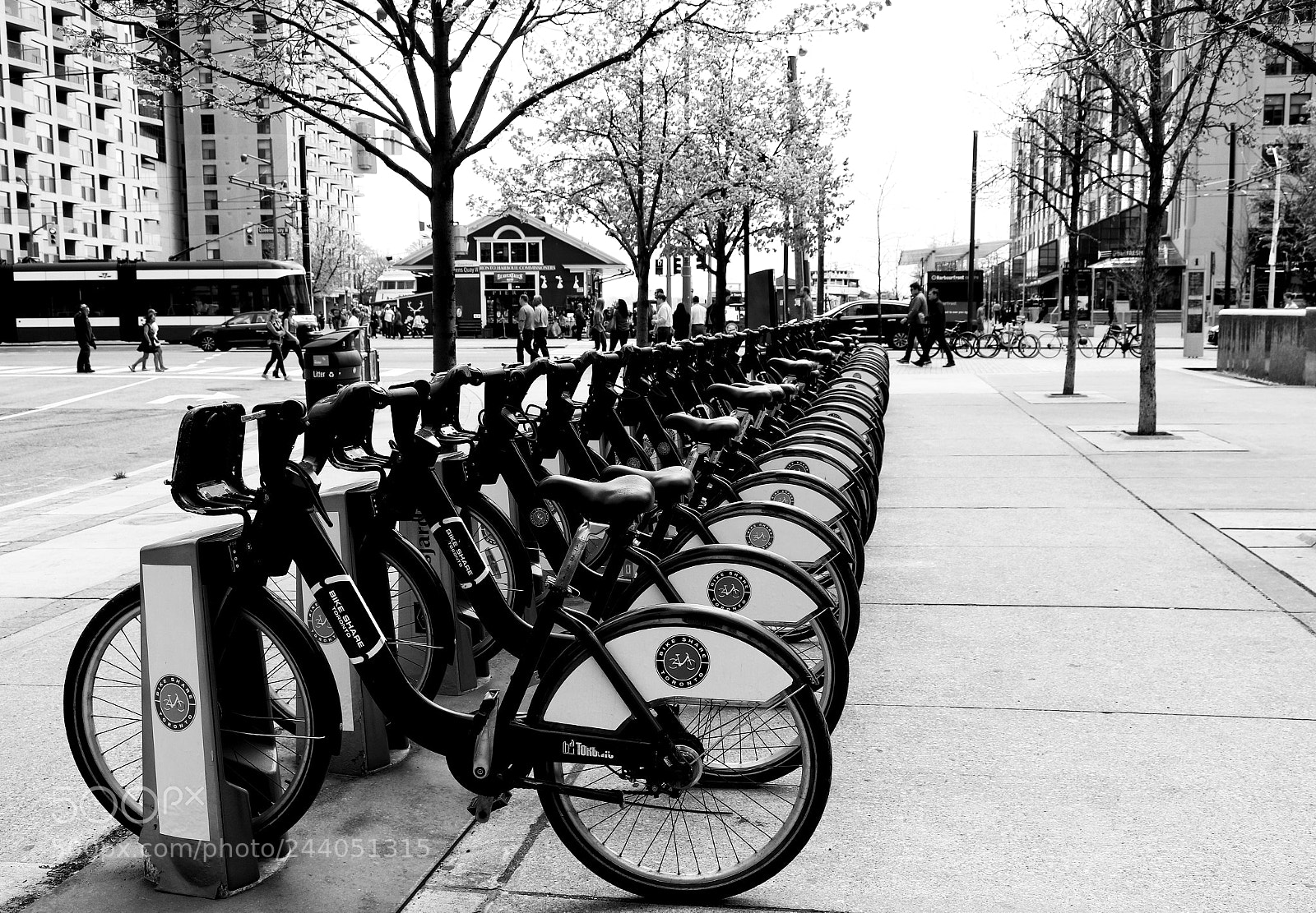 Canon EOS 750D (EOS Rebel T6i / EOS Kiss X8i) sample photo. York st., toronto photography