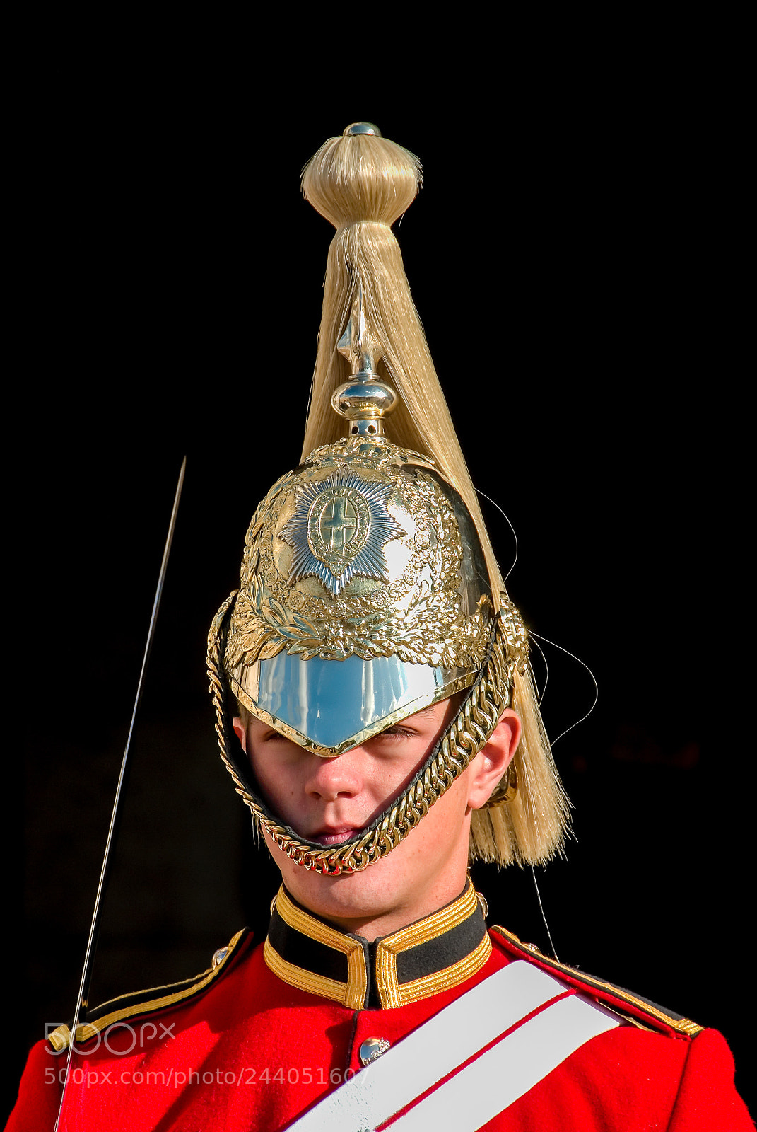 Nikon D200 sample photo. Garde kavallerie london england photography