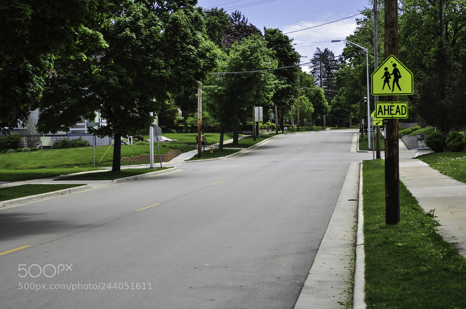 Nikon D5000 sample photo. School crossing ahead photography